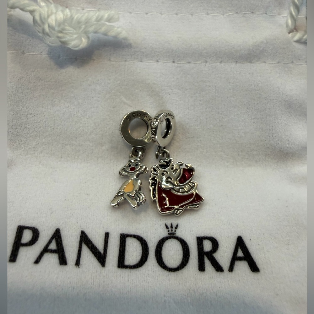 Pandora Silver Charm with Unique Design
